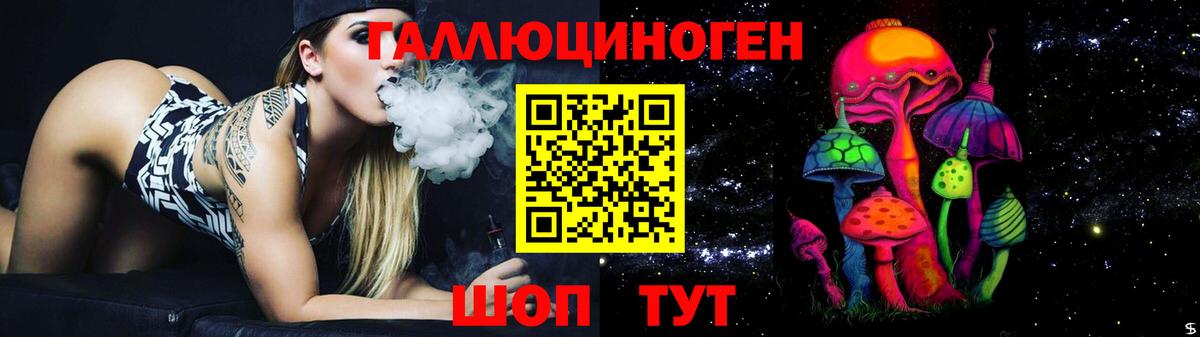 Галлюциногенные грибы Psilocybine cubensis Кинель